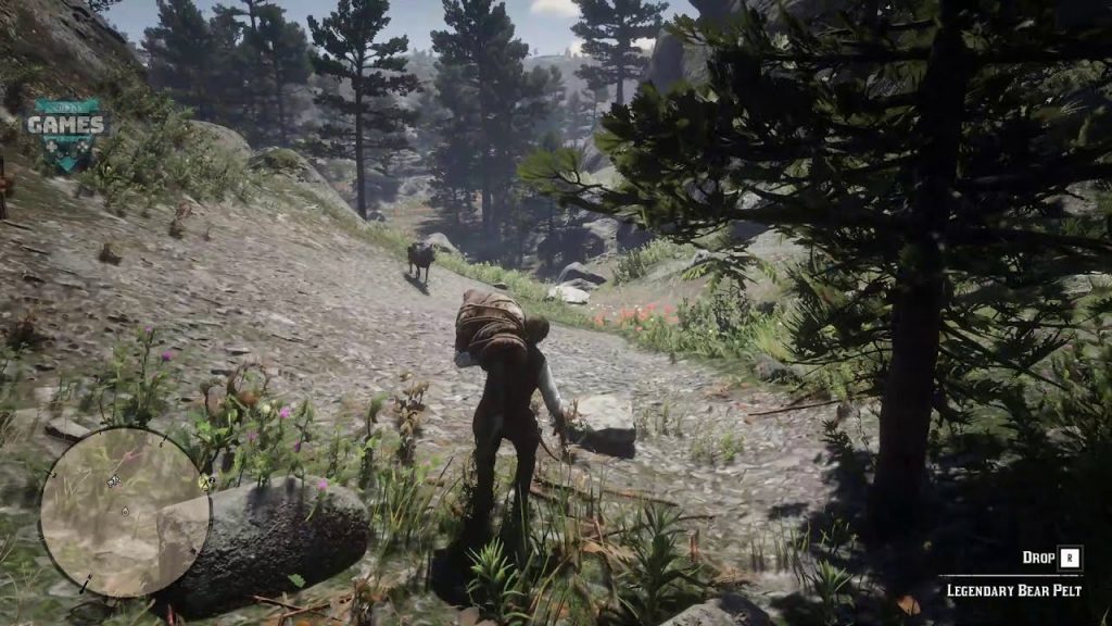 Red Dead Redemption 2 Berburu Beruang Legendaris